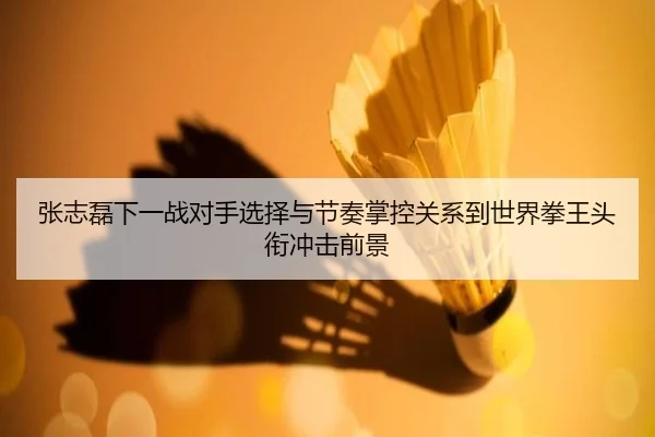 张志磊下一战对手选择与节奏掌控关系到世界拳王头衔冲击前景